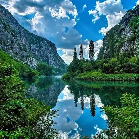 Dalmatian Peak *